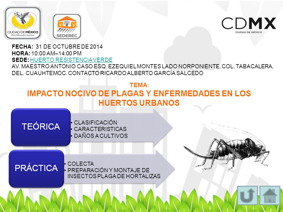 IMPACTO NOCIVO DE PLAGAS Y ENFERMEDADES EN LOS HUERTOS URBANOS