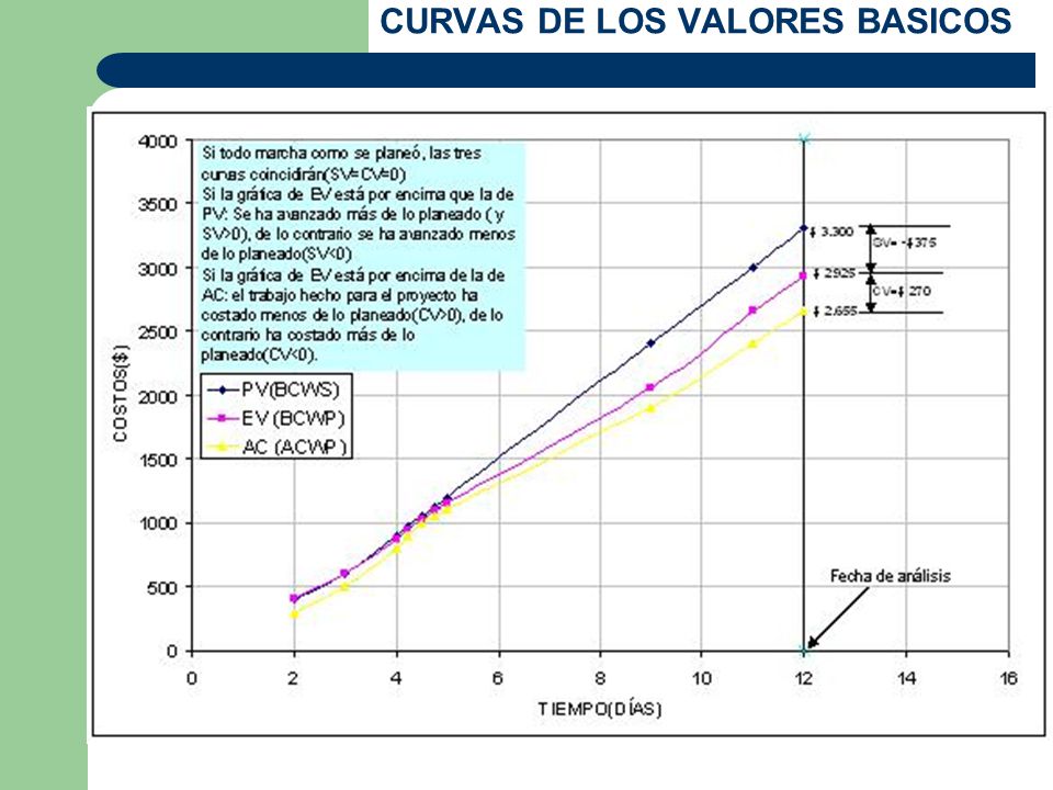CURVAS DE LOS VALORES BASICOS