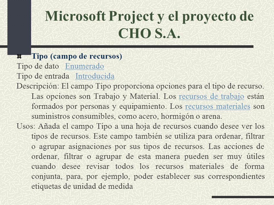 Microsoft Project y el proyecto de CHO S.A.