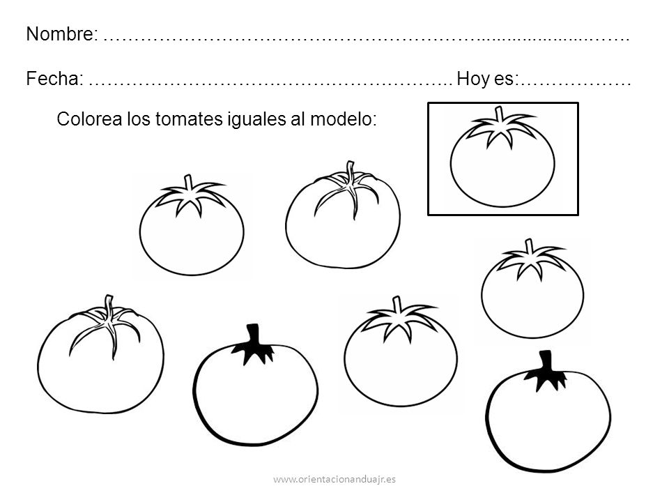 Nombre: …………………………………………………… …….