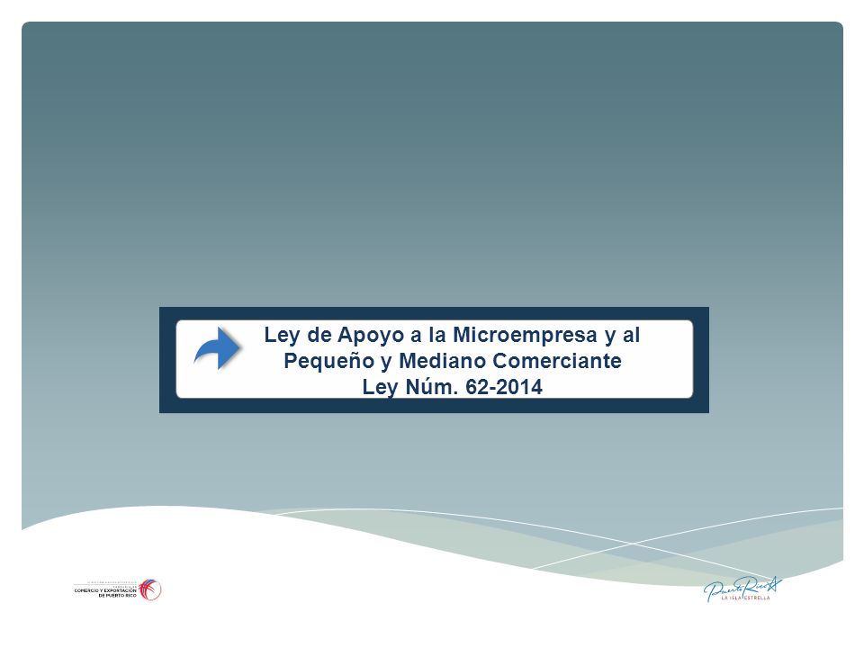 Ley de Apoyo a la Microempresa y al Pequeño y Mediano Comerciante