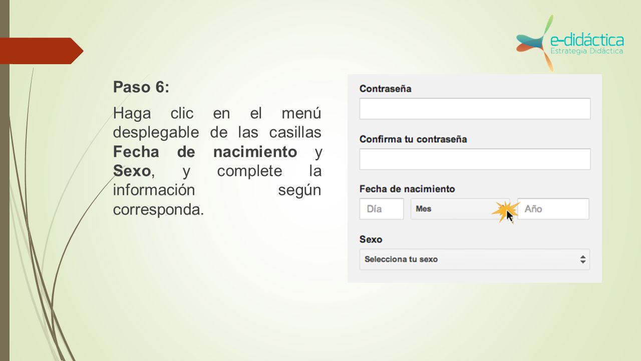 Paso 6: Haga clic en el menú desplegable de las casillas Fecha de nacimiento y Sexo, y complete la información según corresponda.