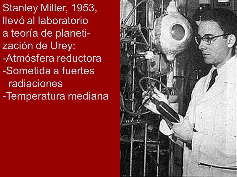 Stanley Miller, 1953, llevó al laboratorio. a teoría de planeti- zación de Urey: -Atmósfera reductora.