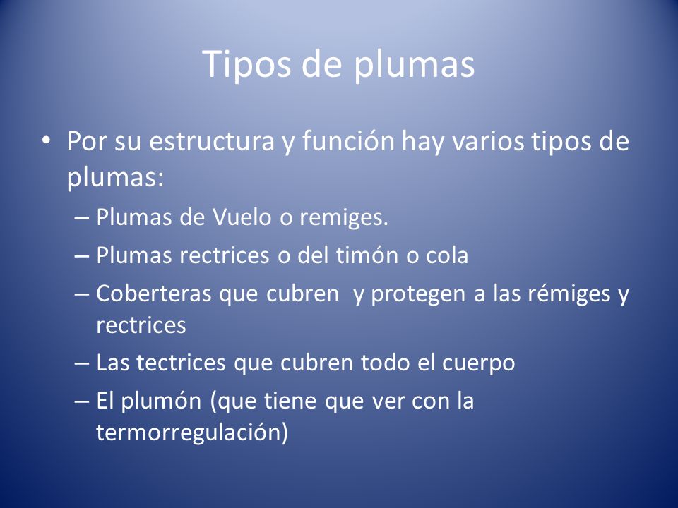 Tipos de plumas Por su estructura y función hay varios tipos de plumas: Plumas de Vuelo o remiges.