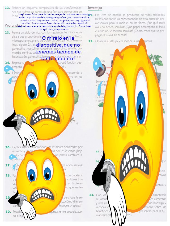 O míralo en la diapositiva, que no tenemos tiempo de tanto dibujito!
