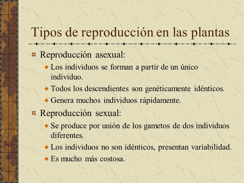 Tipos de reproducción en las plantas
