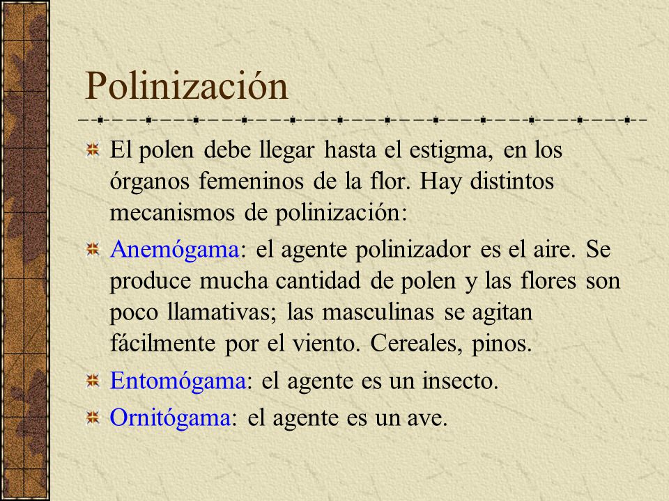 Polinización El polen debe llegar hasta el estigma, en los órganos femeninos de la flor. Hay distintos mecanismos de polinización: