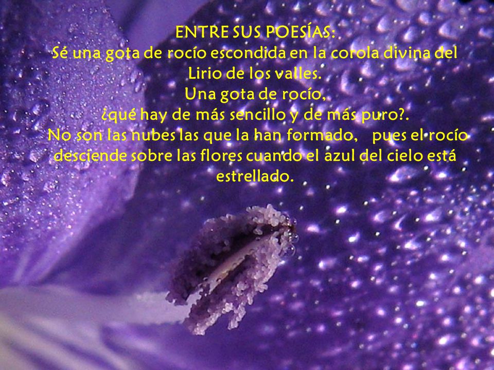 ENTRE SUS POESÍAS: Sé una gota de rocío escondida en la corola divina del Lirio de los valles.