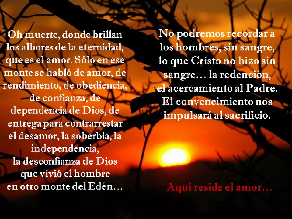 No podremos recordar a los hombres, sin sangre, lo que Cristo no hizo sin sangre… la redención, el acercamiento al Padre. El convencimiento nos impulsará al sacrificio.