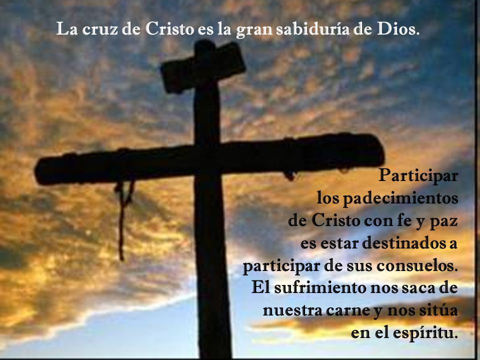 La cruz de Cristo es la gran sabiduría de Dios.