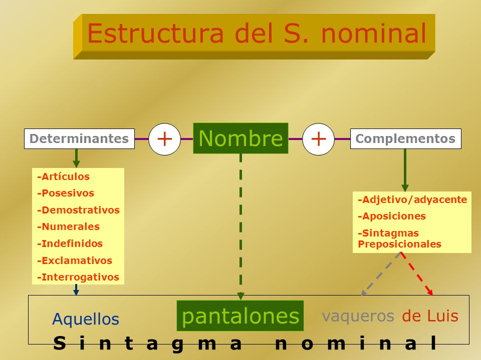 Estructura del S. nominal
