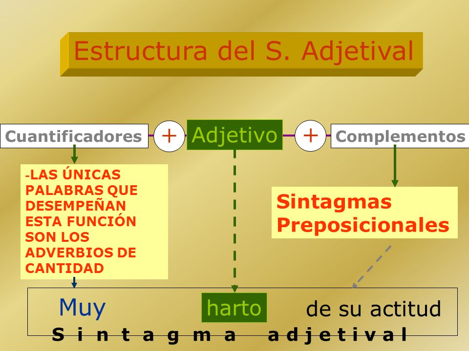 Estructura del S. Adjetival