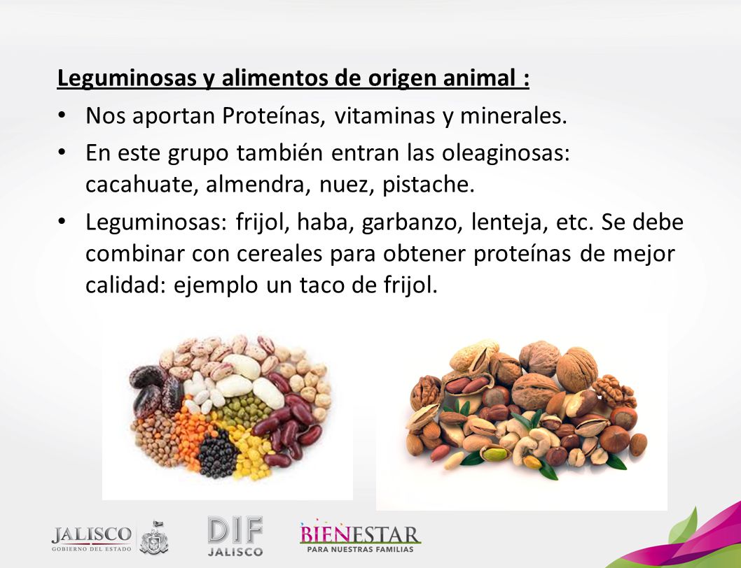 Leguminosas y alimentos de origen animal :