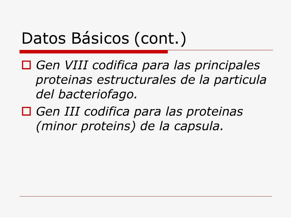 Datos Básicos (cont.) Gen VIII codifica para las principales proteinas estructurales de la particula del bacteriofago.