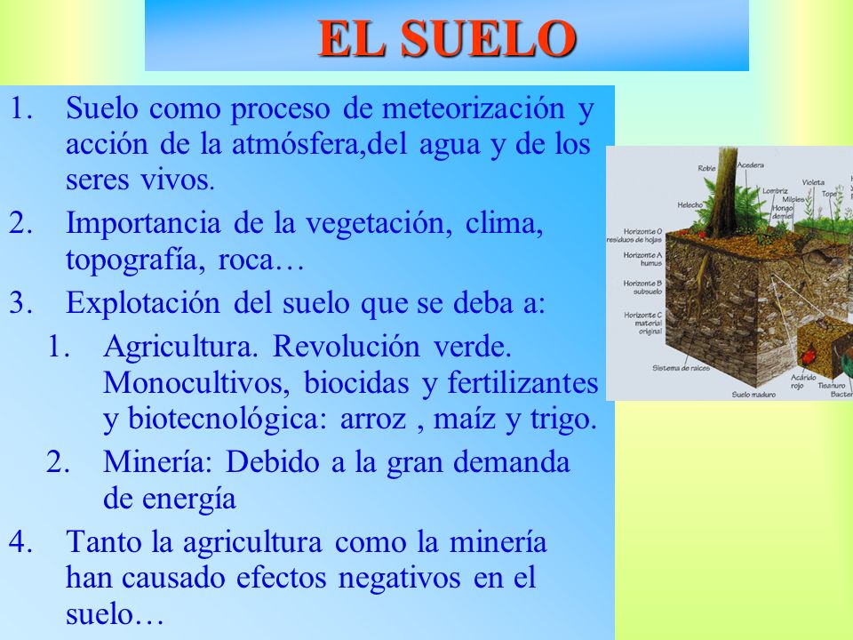 EL SUELO Suelo como proceso de meteorización y acción de la atmósfera,del agua y de los seres vivos.