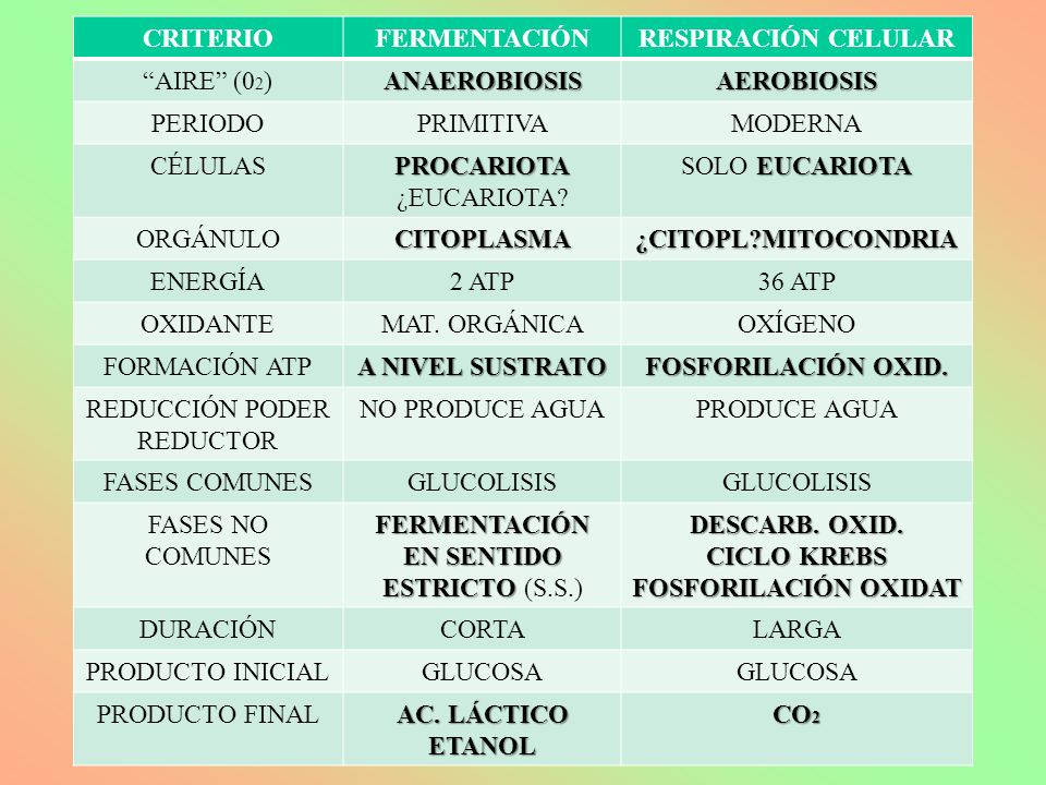 REDUCCIÓN PODER REDUCTOR NO PRODUCE AGUA PRODUCE AGUA FASES COMUNES