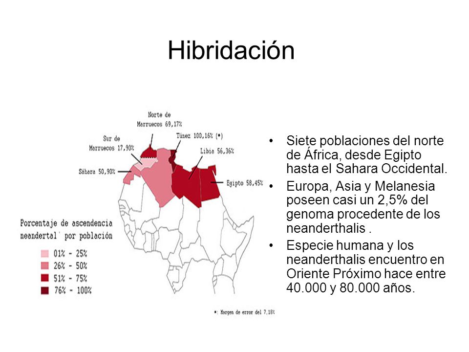 Hibridación Siete poblaciones del norte de África, desde Egipto hasta el Sahara Occidental.