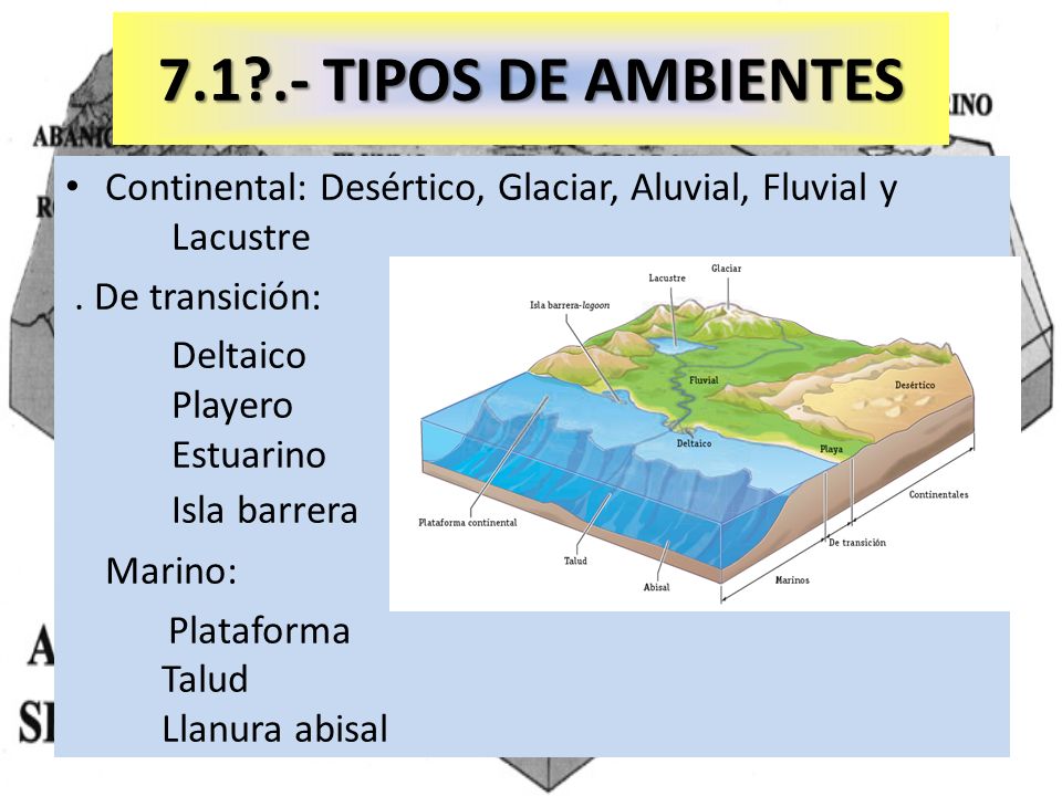 TIPOS DE AMBIENTES Continental: Desértico, Glaciar, Aluvial, Fluvial y Lacustre. . De transición: