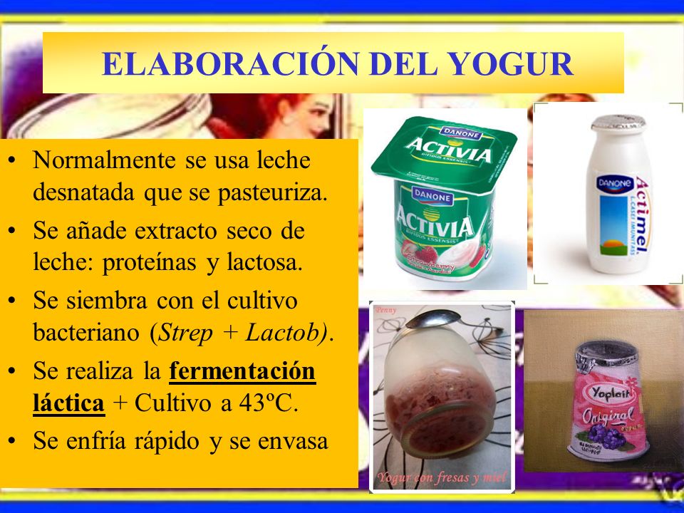 ELABORACIÓN DEL YOGUR Normalmente se usa leche desnatada que se pasteuriza. Se añade extracto seco de leche: proteínas y lactosa.