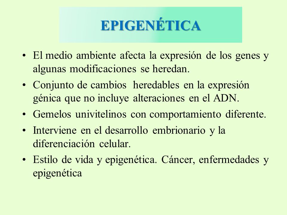 EPIGENÉTICA El medio ambiente afecta la expresión de los genes y algunas modificaciones se heredan.