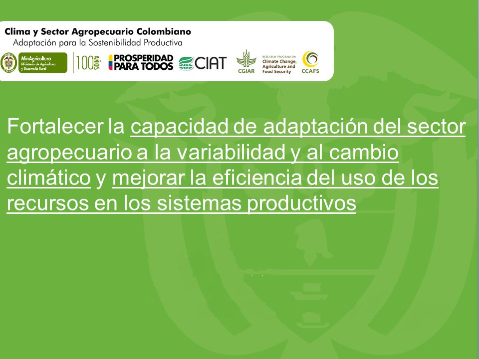 Fortalecer la capacidad de adaptación del sector agropecuario a la variabilidad y al cambio climático y mejorar la eficiencia del uso de los recursos en los sistemas productivos