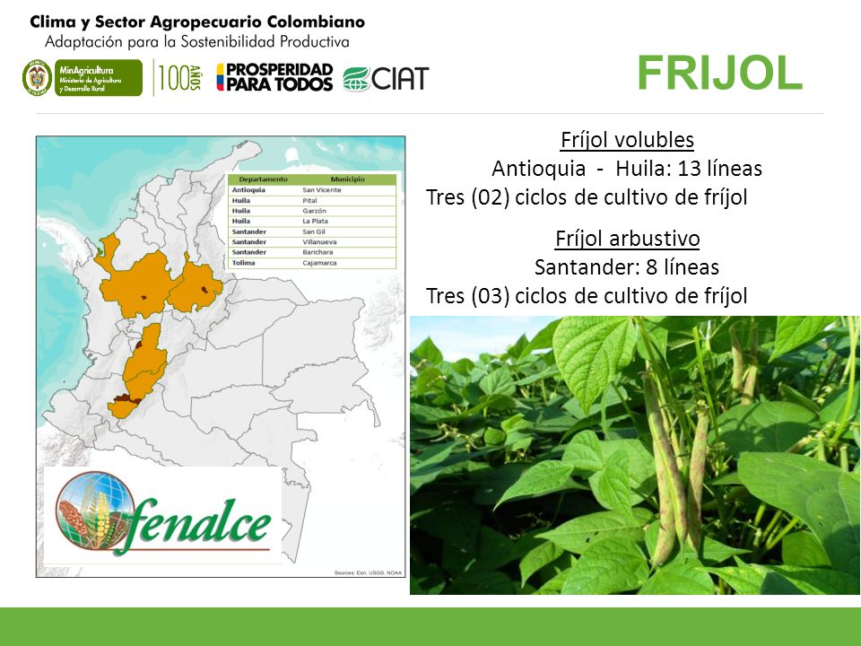 Antioquia - Huila: 13 líneas