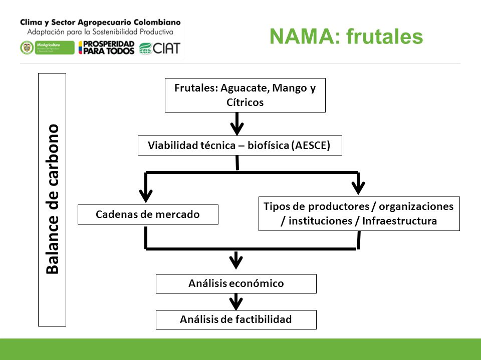 NAMA: frutales Balance de carbono Frutales: Aguacate, Mango y Cítricos