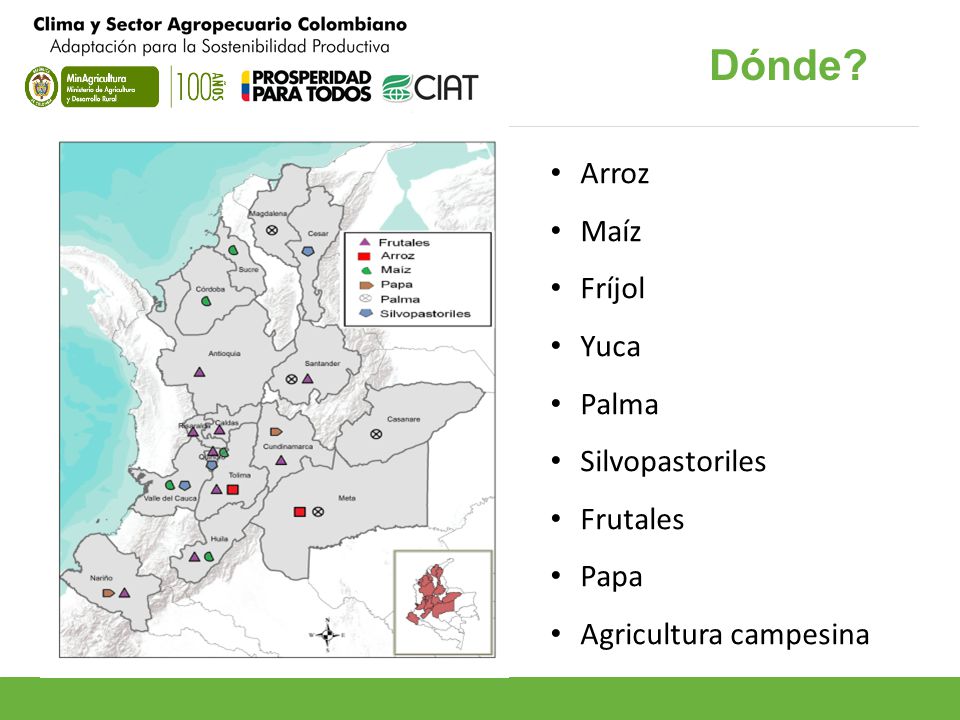 Dónde Arroz Maíz Fríjol Yuca Palma Silvopastoriles Frutales Papa