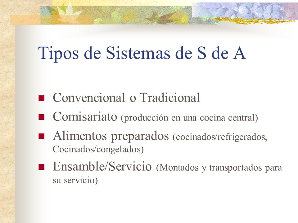 Tipos de Sistemas de S de A