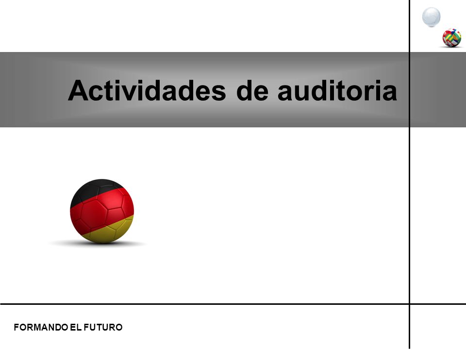 Actividades de auditoria