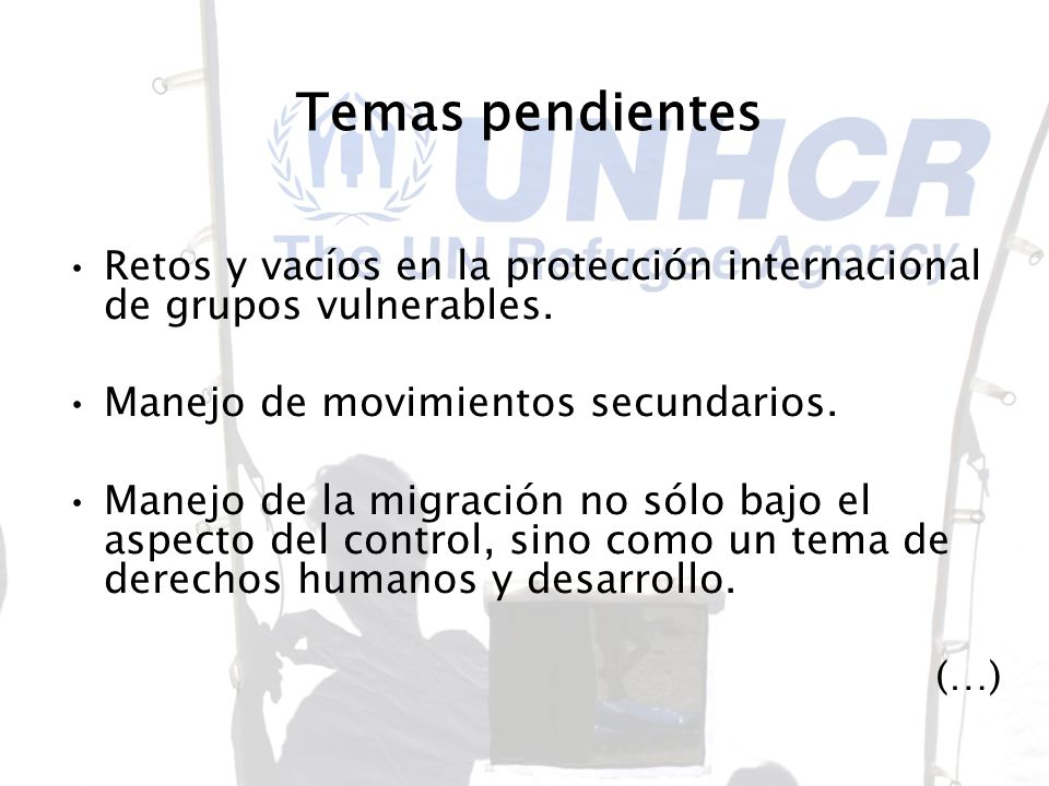 Temas pendientes Retos y vacíos en la protección internacional de grupos vulnerables. Manejo de movimientos secundarios.