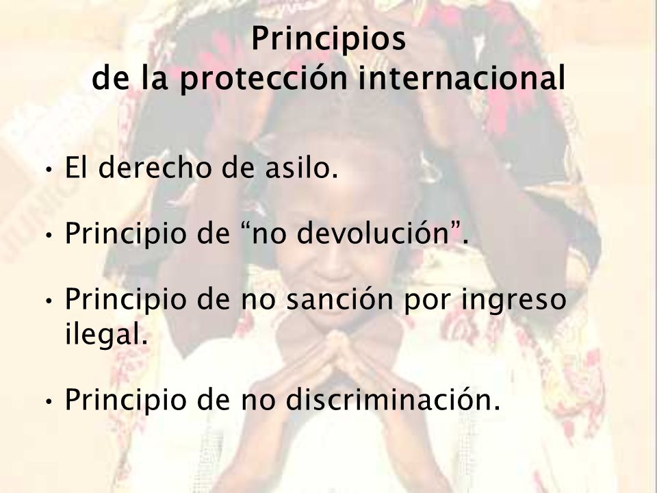 Principios de la protección internacional