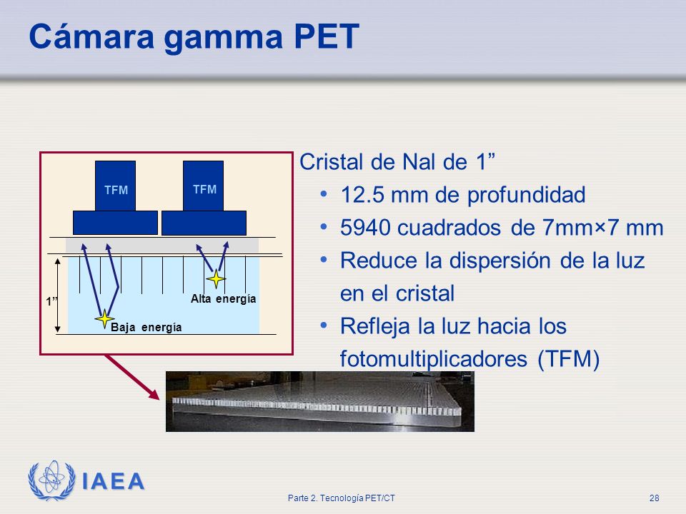 Cámara gamma PET Cristal de Nal de mm de profundidad