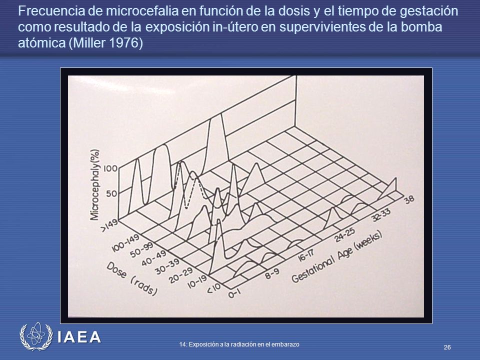 Frecuencia de microcefalia en función de la dosis y el tiempo de gestación como resultado de la exposición in-útero en supervivientes de la bomba atómica (Miller 1976)