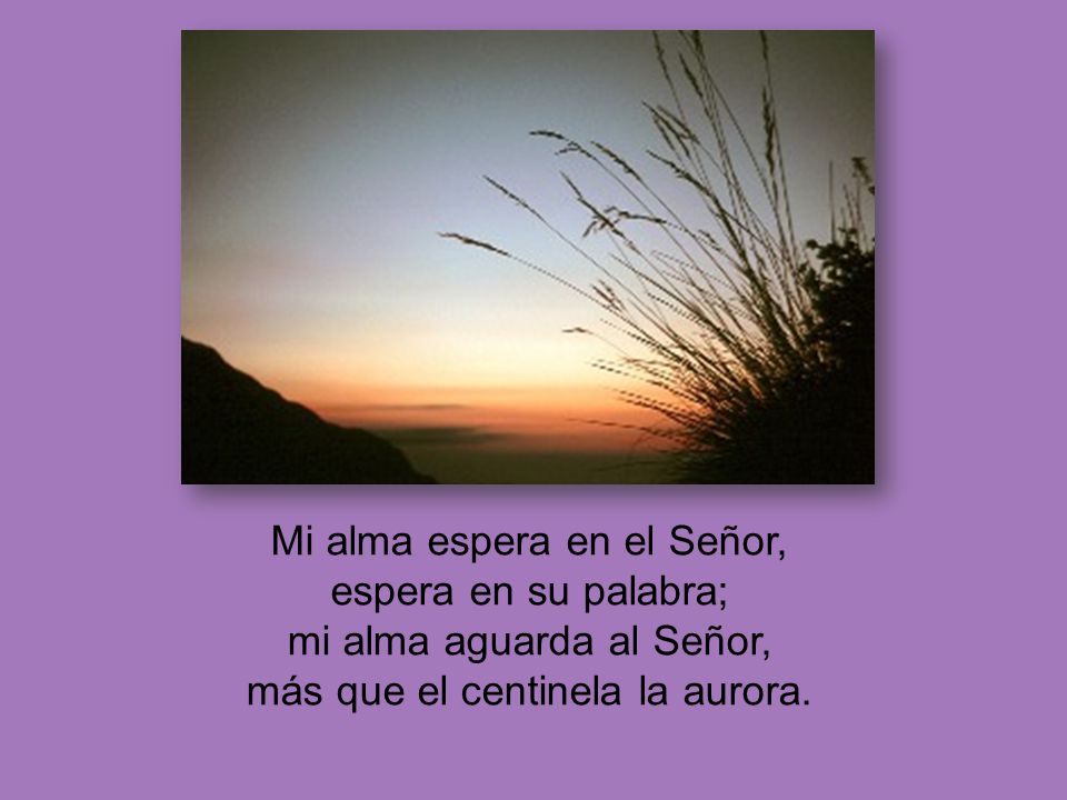 Mi alma espera en el Señor, espera en su palabra; mi alma aguarda al Señor, más que el centinela la aurora.