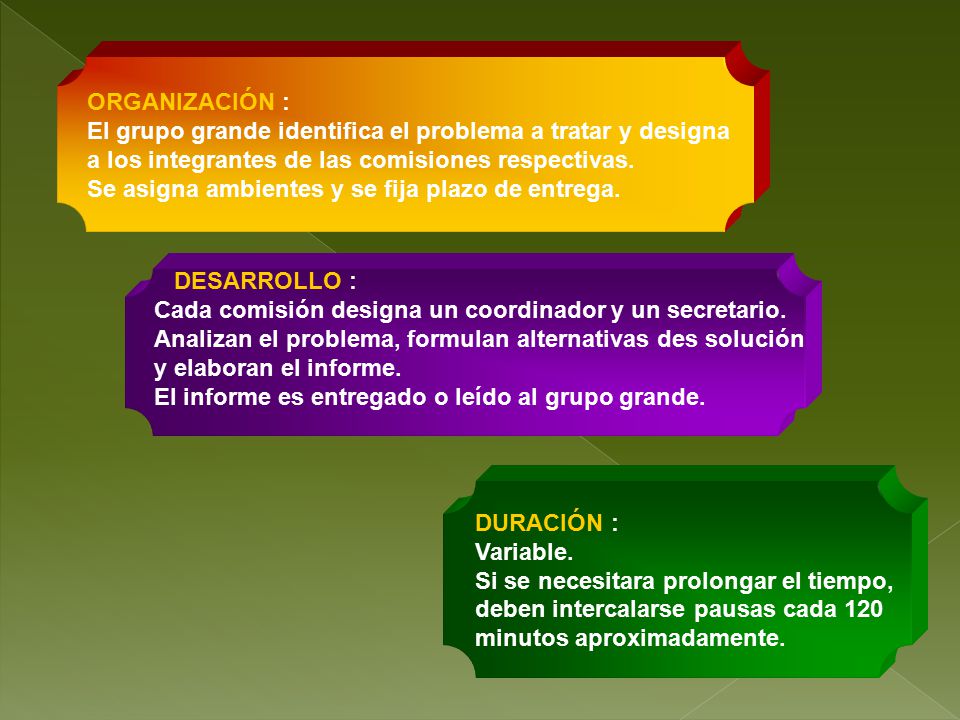 ORGANIZACIÓN : El grupo grande identifica el problema a tratar y designa. a los integrantes de las comisiones respectivas.