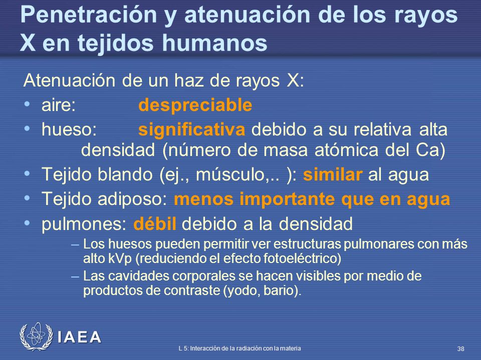 Penetración y atenuación de los rayos X en tejidos humanos