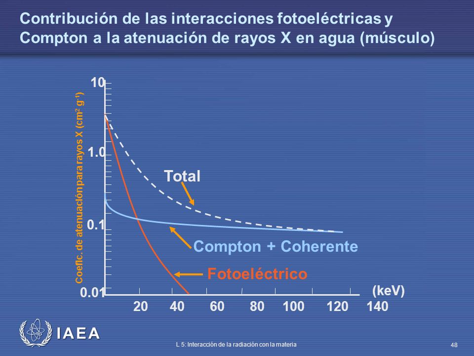 Contribución de las interacciones fotoeléctricas y Compton a la atenuación de rayos X en agua (músculo)