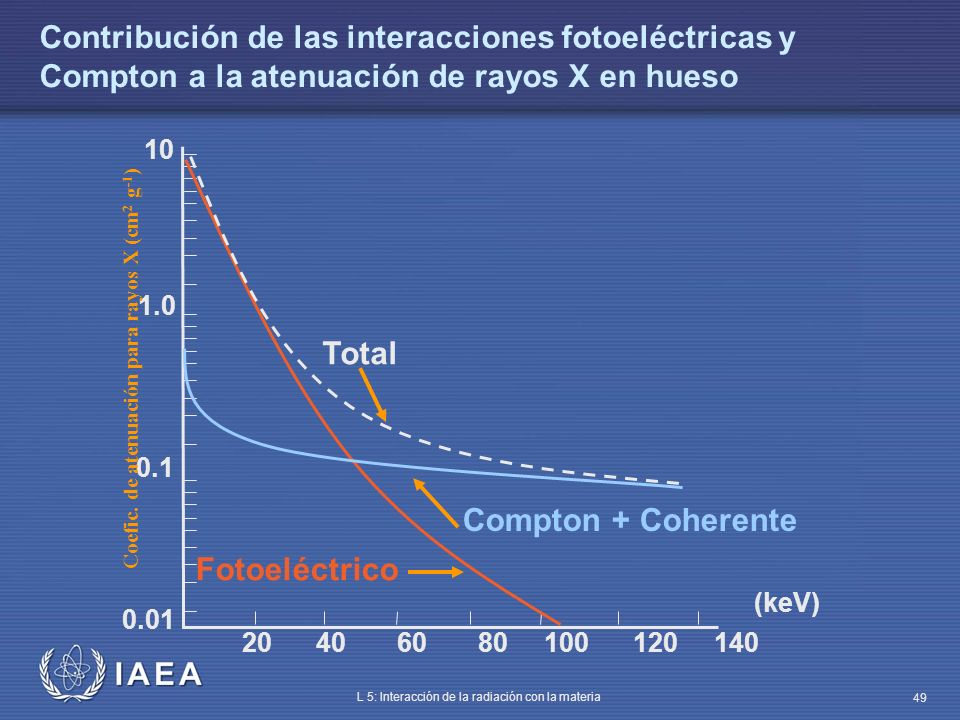 Contribución de las interacciones fotoeléctricas y Compton a la atenuación de rayos X en hueso