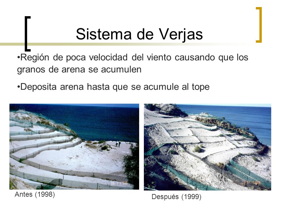 Sistema de Verjas •Región de poca velocidad del viento causando que los granos de arena se acumulen.