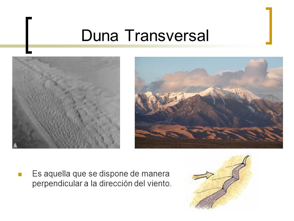 Duna Transversal Es aquella que se dispone de manera perpendicular a la dirección del viento.