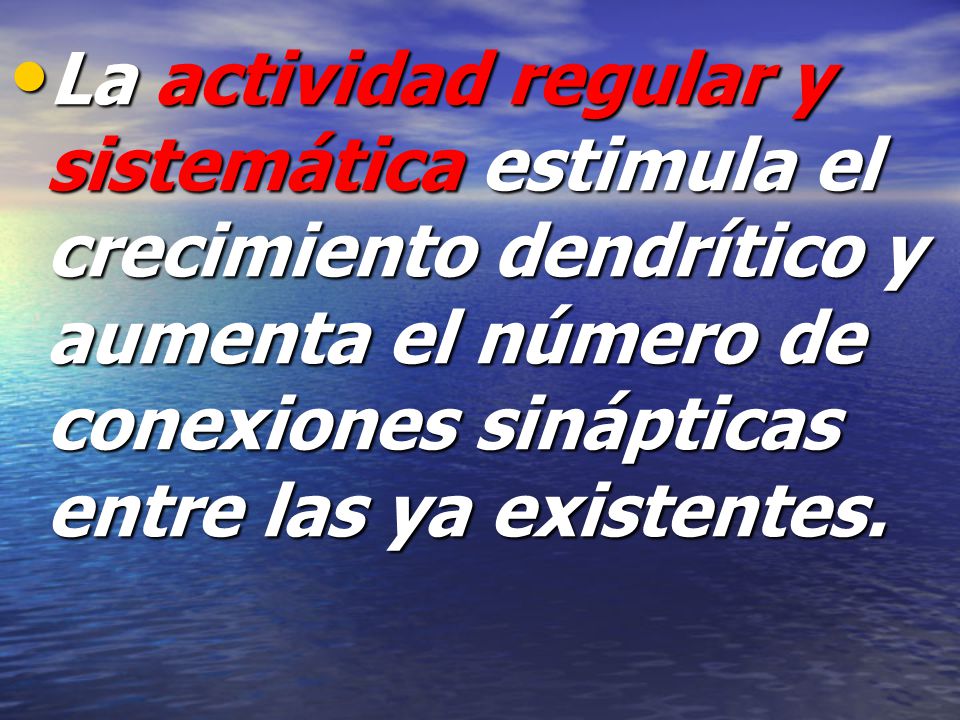 La actividad regular y sistemática estimula el crecimiento dendrítico y aumenta el número de conexiones sinápticas entre las ya existentes.