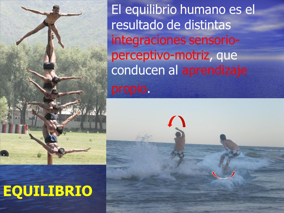 El equilibrio humano es el resultado de distintas integraciones sensorio-perceptivo-motriz, que conducen al aprendizaje propio.