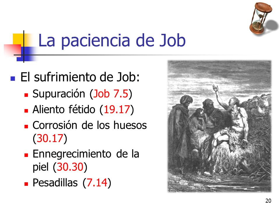 La paciencia de Job El sufrimiento de Job: Supuración (Job 7.5)