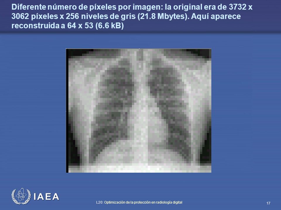 Diferente número de píxeles por imagen: la original era de 3732 x 3062 píxeles x 256 niveles de gris (21.8 Mbytes).