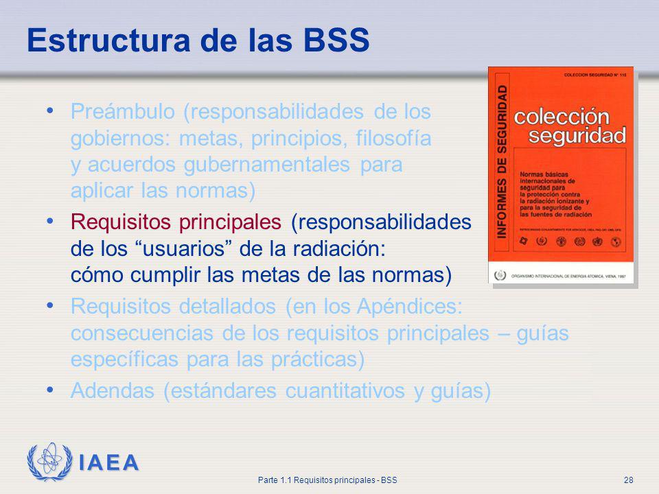 Estructura de las BSS Preámbulo (responsabilidades de los gobiernos: metas, principios, filosofía y acuerdos gubernamentales para aplicar las normas)