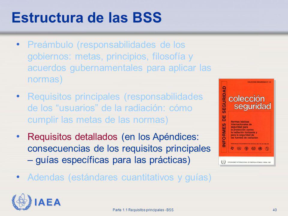 Estructura de las BSS Preámbulo (responsabilidades de los gobiernos: metas, principios, filosofía y acuerdos gubernamentales para aplicar las normas)