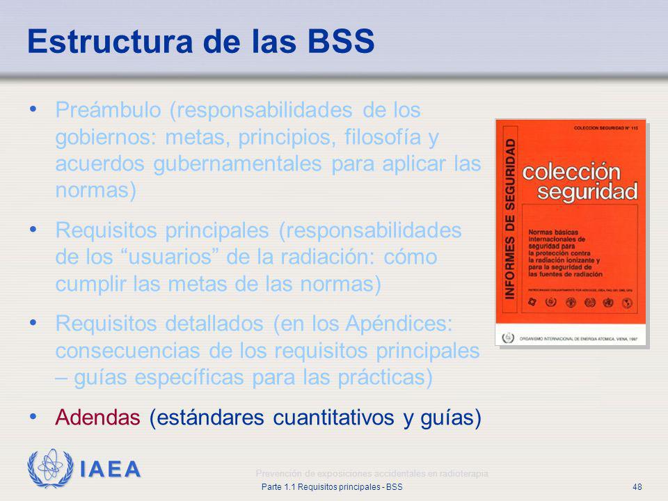 Estructura de las BSS Preámbulo (responsabilidades de los gobiernos: metas, principios, filosofía y acuerdos gubernamentales para aplicar las normas)