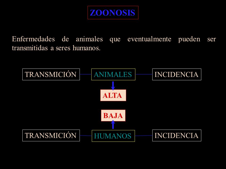 ZOONOSIS Enfermedades de animales que eventualmente pueden ser transmitidas a seres humanos. TRANSMICIÓN.