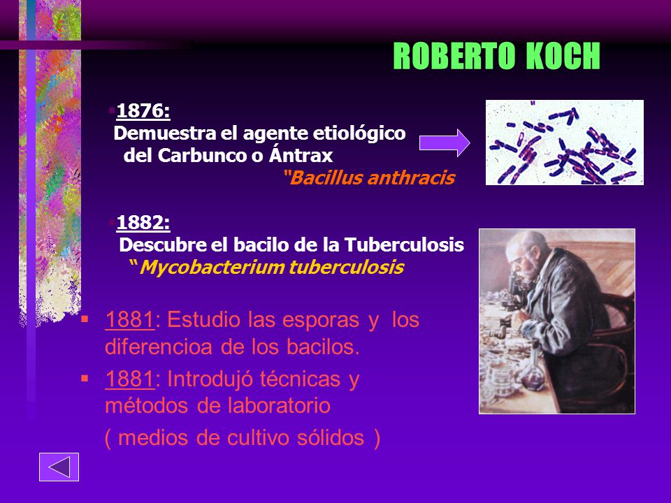 ROBERTO KOCH 1876: Demuestra el agente etiológico. del Carbunco o Ántrax. Bacillus anthracis. 1882: